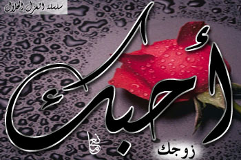 moi zakaria